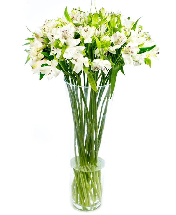Subscription Flowers - White - Image 15