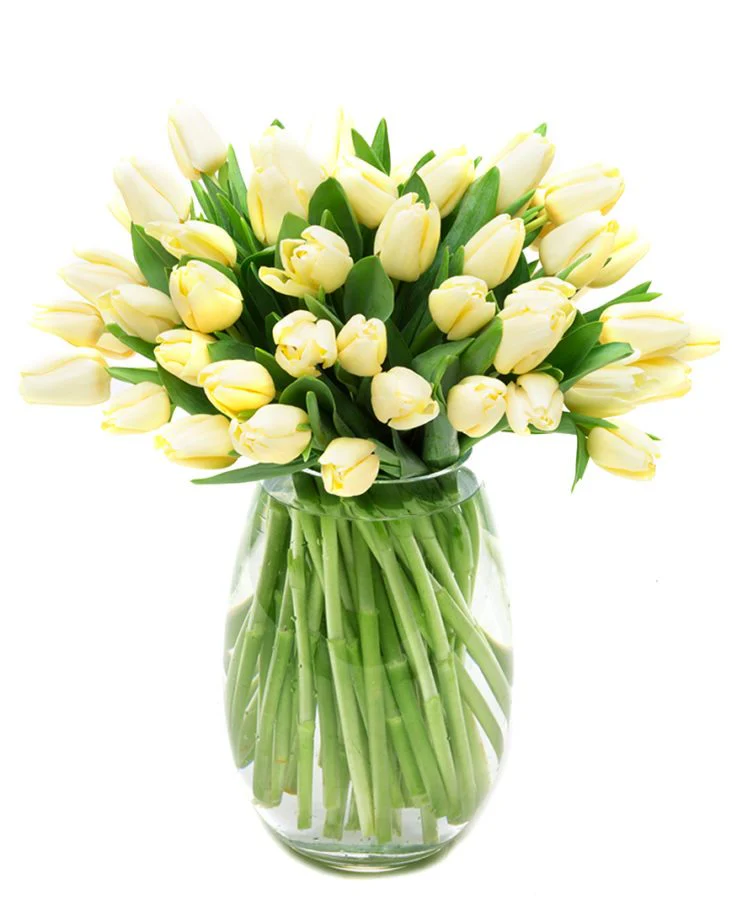 Subscription Flowers - White - Image 19