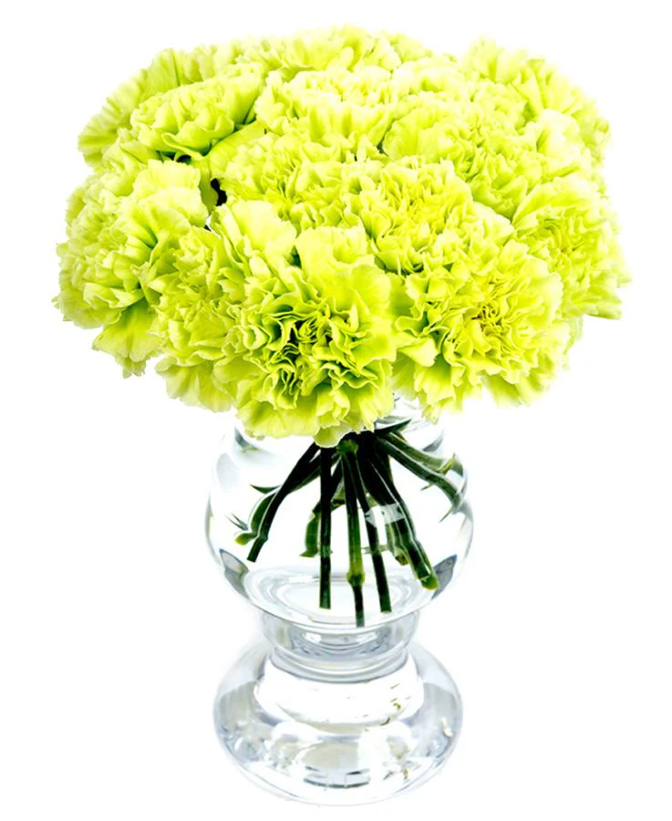 Subscription Flowers - White - Image 22