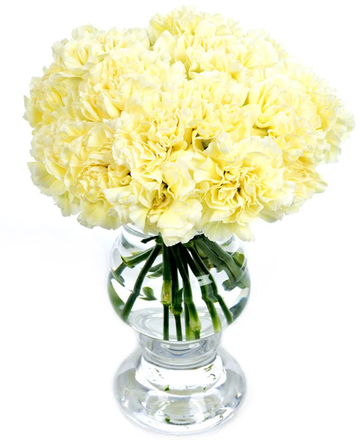 Subscription Flowers - White - Image 23