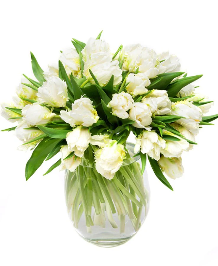 Subscription Flowers - White - Image 4