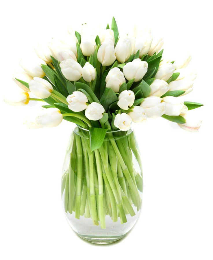 Subscription Flowers - White - Image 5
