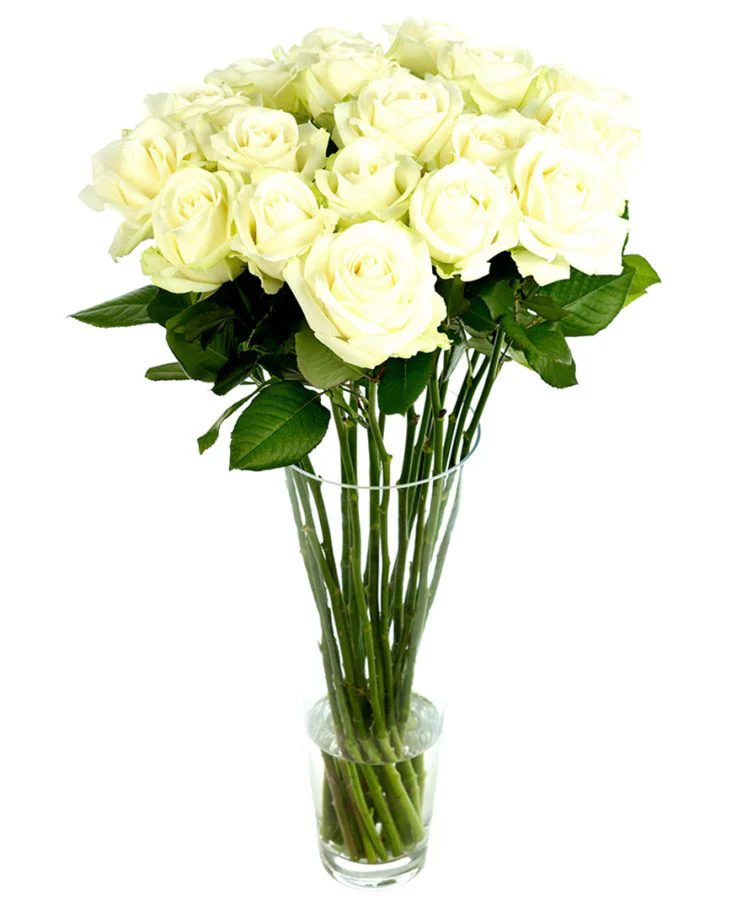 Subscription Flowers - White - Image 7