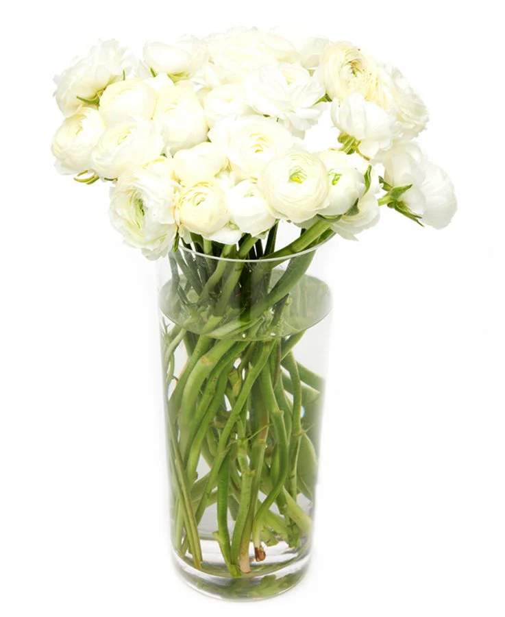 Subscription Flowers - White - Image 8