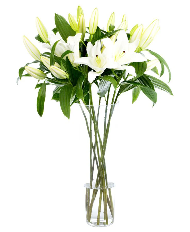 Subscription Flowers - White - Image 9
